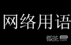 再玩下去阿姨就到家了梗意思详情