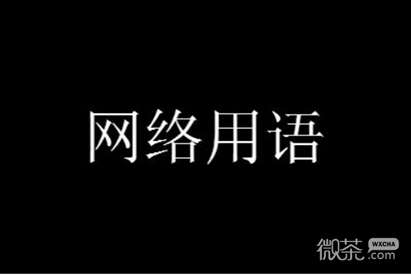 哈基米哈基米是什么意思详情-哈基米哈基米是什么意思一览