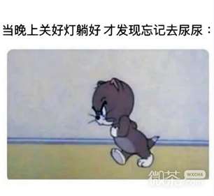 尿眠体是什么意思详情