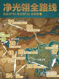 《原神》净光翎全收集路线攻略一览