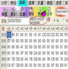 FPE2000修改器