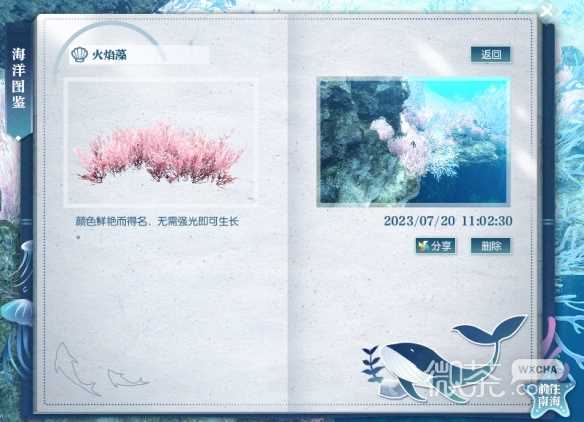 《逆水寒手游》火焰藻位置分享