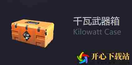 CSGO新星黑暗徽记一览