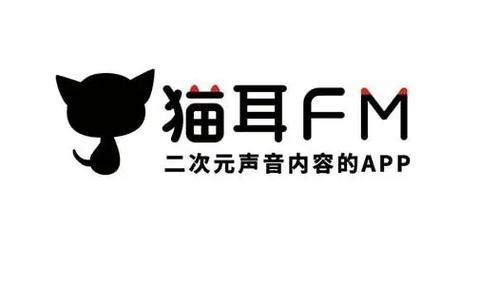 猫耳FM音乐导入指南：详细设置步骤解析